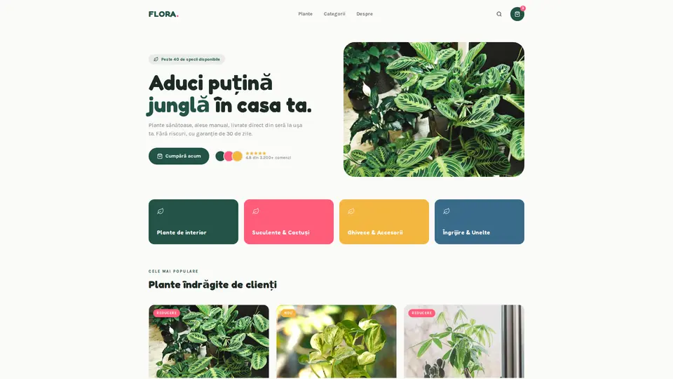 Exemplu de site pentru shop-uri, construit de fă-țisite.ro